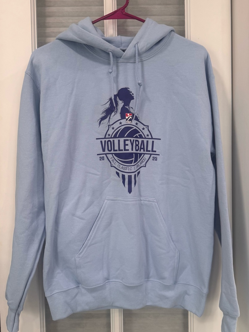 Gildan Light Blue Volleyball Graphic Hoodie